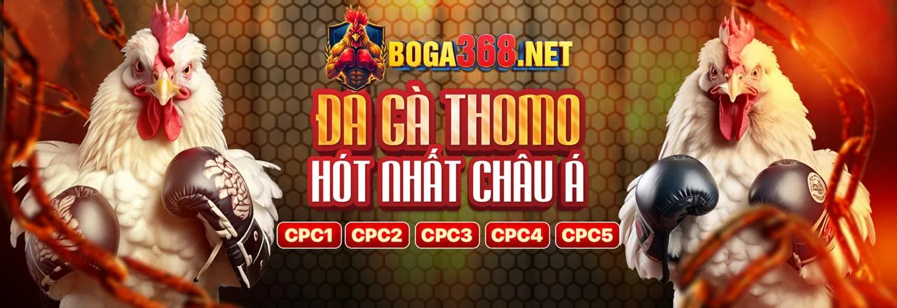 Lý do chọn mb666 win